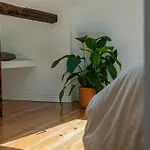 Bright Duplex With Stunning Bridge Views In The History Area